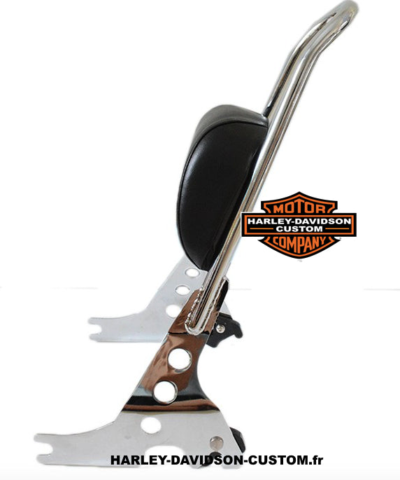 Sissy Bar clips + porte bagage chrome Harley Davidson Sportster 2007 - 2020