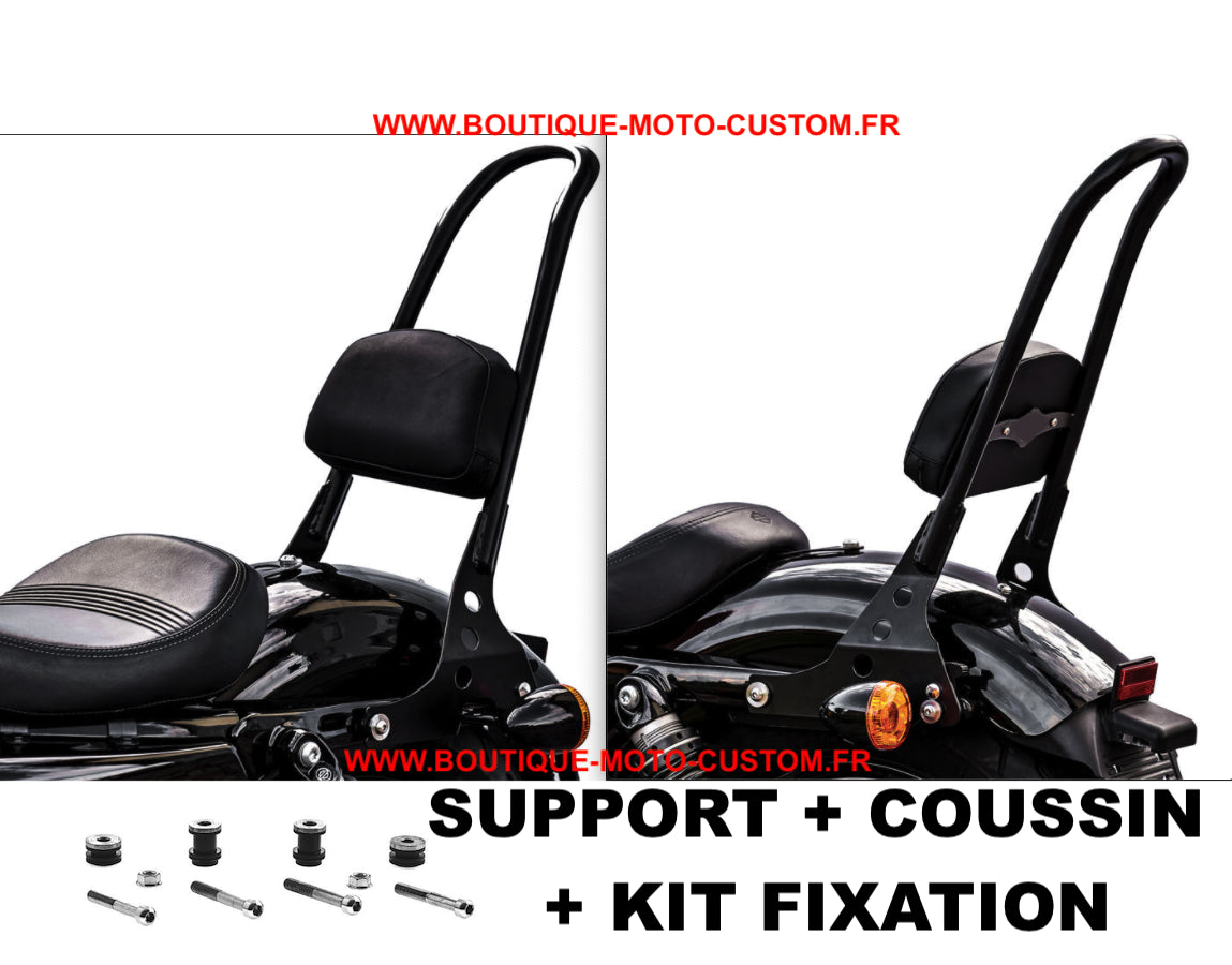 Sissy Bar détachable / clips Harley Davidson 883 & 1200 sportster, Xl 2004 - 2020