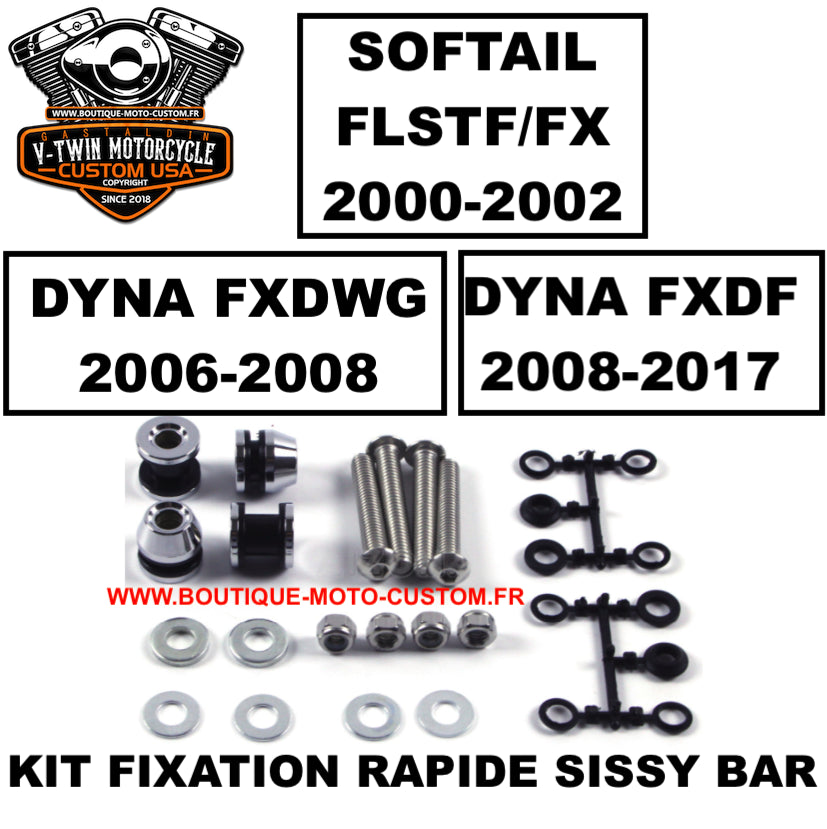 KIT FIXATION SISSY BAR RAPIDE Harley Davidson SOFTAIL & DYNA