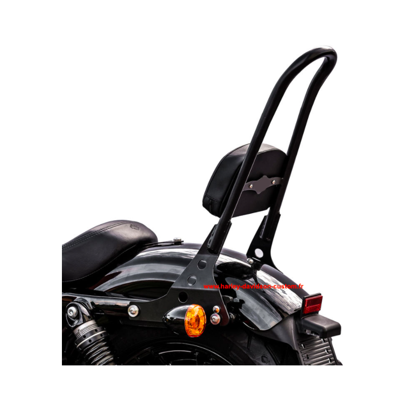 Dossier + Porte-bagages Sport-Line Black x Motorcycle Harley Street 750 -  Dossiers-Sissy Bar - Shopbikers: vente de produits pour motards sur mesure