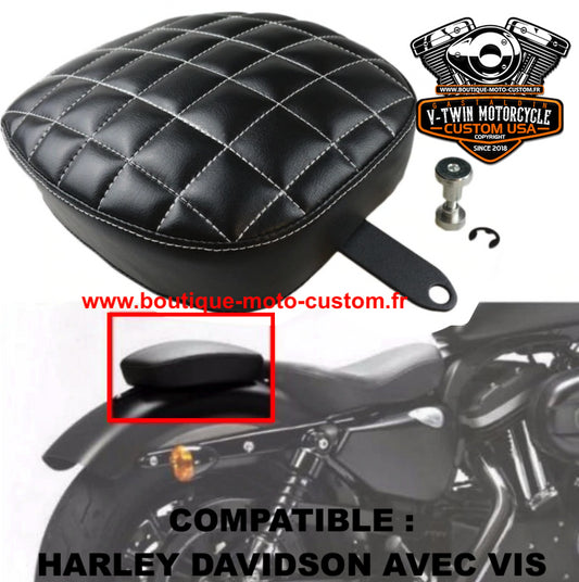 Harley Davidson passenger beanbag and bobber