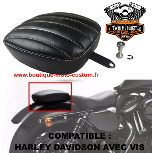 Harley Davidson passenger pouch and custom motorcycle