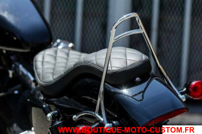 CHROME Sissy Bar Harley Davidson SPORTSTER 2004 - 2019