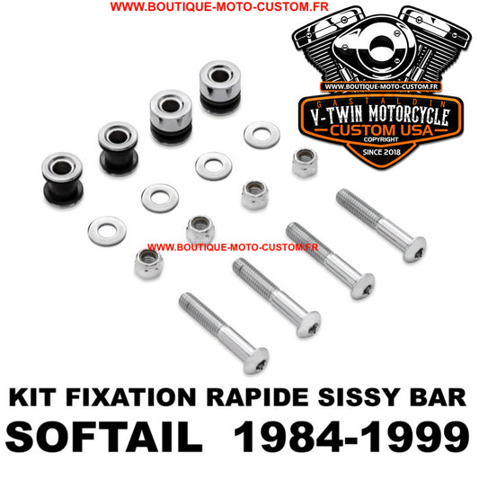 Fixing screw kit for detachable sissy bar / Harley davidson Softail clips 1984 - 1999