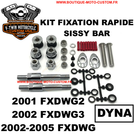 Fixing screw kit for detachable sissy bar / Harley davidson DYNA clips 2001 - 2002