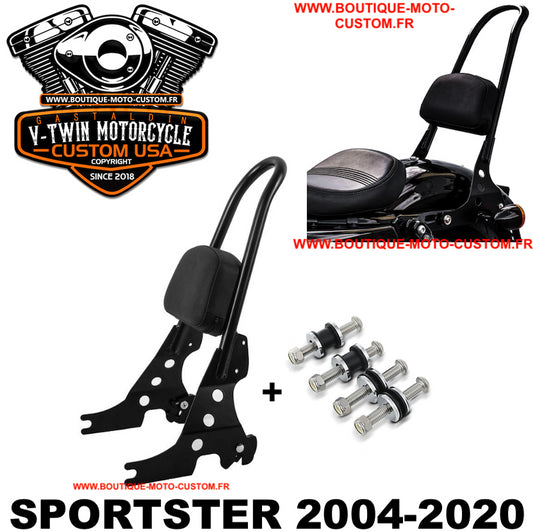 Detachable Sissy Bar CLIPS / Harley Davidson 883 & 1200 sportster, Xl 2004 - 2019