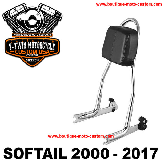 Detachable Sissy Bar / Black Harley Davidson Softail clips from 2006 to 2017