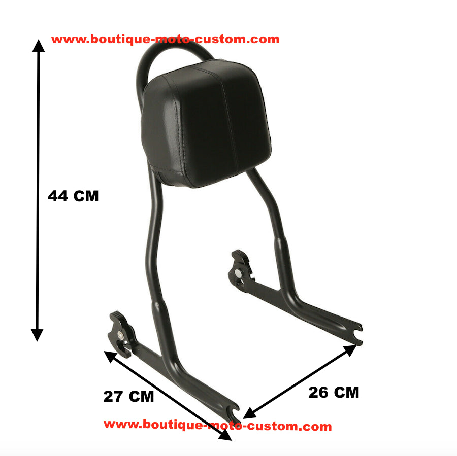 Detachable Sissy Bar / Black Harley Davidson Softail clips from 2006 to 2017